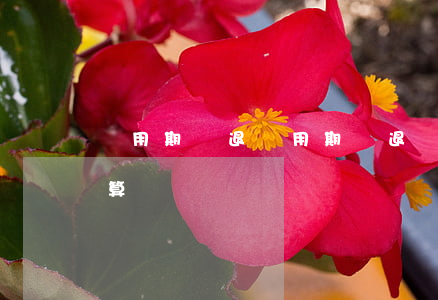 試用期辭退(試用期辭退補(bǔ)償金怎么算)