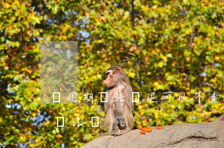 試用期違法辭退可以不走嗎(試用期不讓辭職違法嗎)