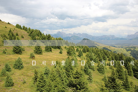 試用期需要簽合同嗎(試用期也要簽合同嗎)