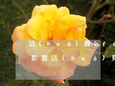 話(huà)費(fèi)逾期一天有什么影響(話(huà)費(fèi)欠多久算逾期)