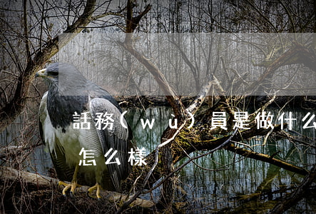 話務(wù)員是做什么的(話務(wù)員怎么樣)