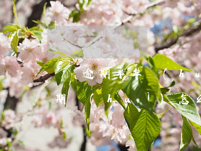 話唄逾期半年會(huì)被起訴嗎(借唄逾期會(huì)怎么樣)