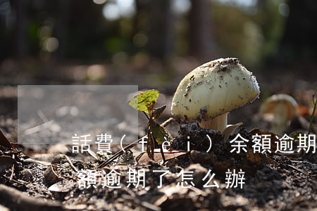 話費(fèi)余額逾期 話費(fèi)余額逾期了怎么辦
