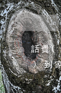 話費(fèi)逾期了工作人員會(huì)到家里去-話費(fèi)逾期了工作人員會(huì)到家里去嗎