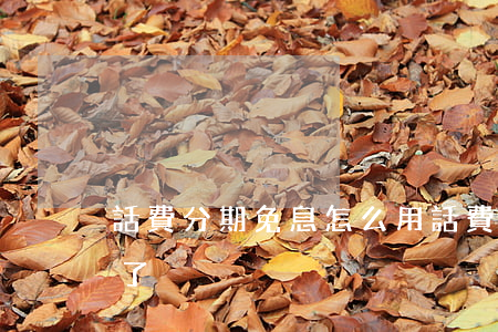 話費分期免息怎么用(話費分期免息怎么用不了)