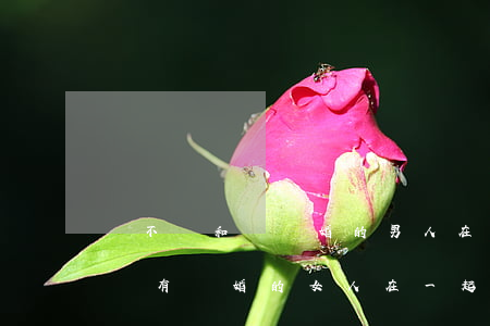 該不該和沒離婚的男人在一起(離婚的男人和沒有離婚的女人在一起怎么辦)