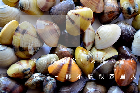 該不該跟家里人說欠網(wǎng)貸和信用卡-該不該跟家里人說欠網(wǎng)貸和信用卡的事情