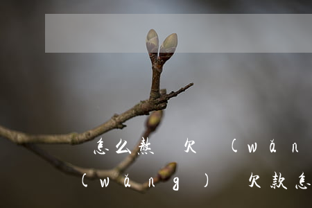 該怎么熬過欠網(wǎng)貸額度日子(網(wǎng)貸欠款怎么還比較好)