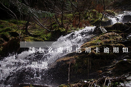 該怎么處理信用卡逾期(如何處理信用卡逾期問題)