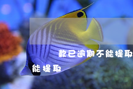 該筆貸款已逾期不能提取(該筆貸款已逾期不能提取)