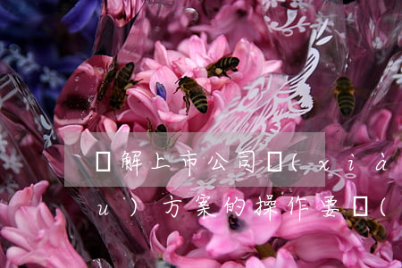 詳解上市公司現(xiàn)金收購(gòu)方案的操作要點(diǎn)