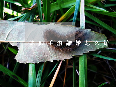 誅仙手游離婚怎么辦