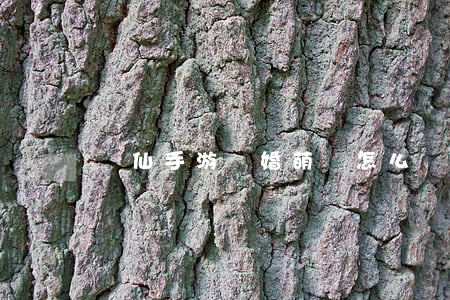 誅仙手游離婚萌寶怎么辦