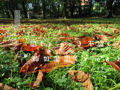 認(rèn)不認(rèn)罪怎么起訴律師(如果認(rèn)罪了還需要請(qǐng)律師嗎)