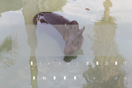 認(rèn)定為工傷十級怎么賠償,十級傷殘的賠償項(xiàng)目是什么