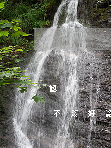 認(rèn)罪認(rèn)罰書簽好還是不簽好(認(rèn)罪認(rèn)罰簽字后會(huì)怎樣)
