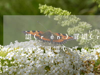 認(rèn)罪認(rèn)罰的辯護(hù)詞(認(rèn)罪認(rèn)罰的含義)