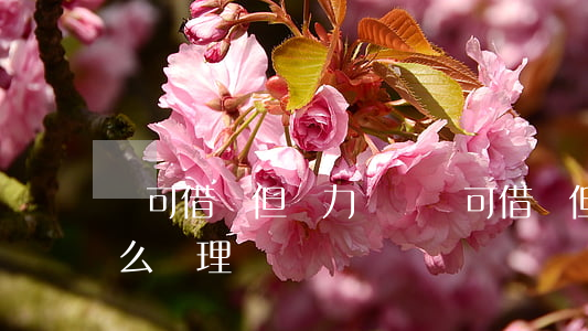 認可借錢但無力償還(認可借錢但無力償還怎么處理)