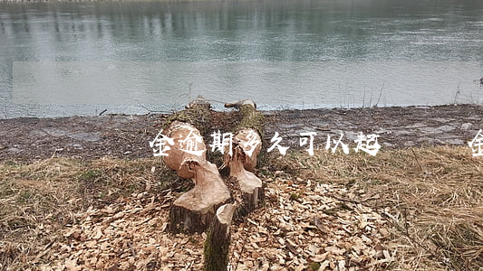 認籌金逾期多久可以起訴 認籌金大概多久退