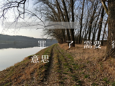 認罪書簽了還需要請律師嗎?(簽認罪書是什么意思)