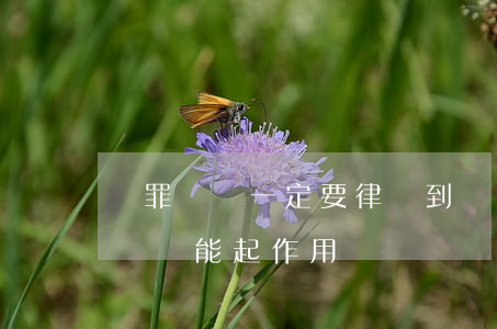 認罪認罰一定要律師到場嗎(簽了認罪認罰律師還能起作用嗎)