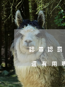 認罪認罰還有必要請律師嗎(認罪認罰請律師還有用嗎)