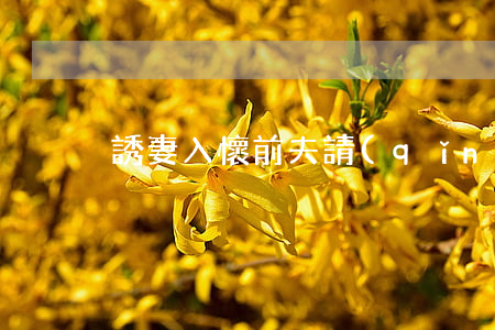 誘妻入懷前夫請(qǐng)離婚
