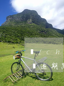 誠(chéng)信信用卡逾期了怎么辦(有過逾期怎么辦信用卡)