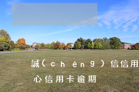 誠(chéng)信信用卡逾期后果-不小心信用卡逾期