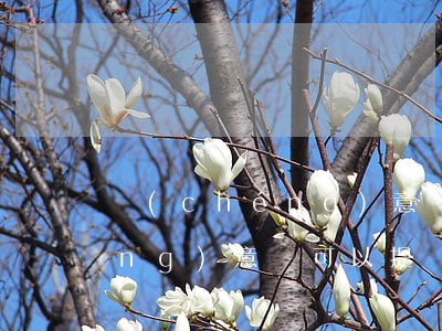 誠(chéng)意賒能逾期嗎(誠(chéng)意賒可以提現(xiàn)嗎)