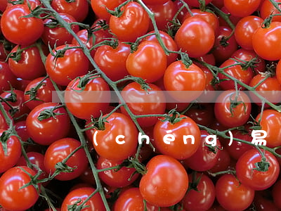 誠(chéng)易賒逾期后怎么還款