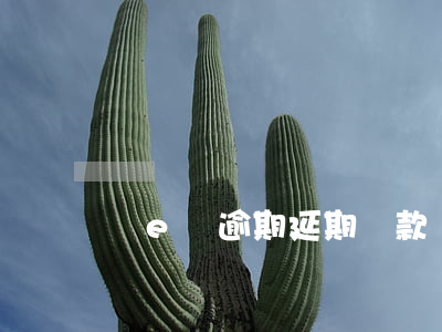 誠e賒逾期延期還款(誠e賒到期不還款怎么辦)