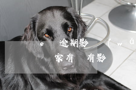 誠e賒逾期影響網(wǎng)商貸(誠e賒對賣家有沒有影響)