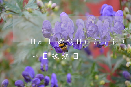 誠e賒逾期會(huì)起訴嗎(誠e賒欠款一萬被起訴)