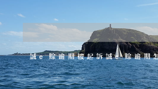 誠e賒逾期被起訴(誠e賒逾期怎么辦)