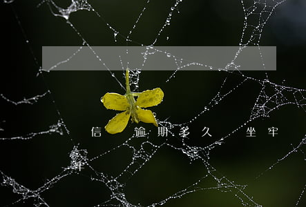 誠信貸逾期多久會坐牢(貸款逾期兩三年會坐牢嗎)