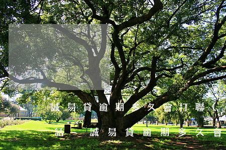 誠易貸逾期多久會打聯(lián)系人電話-誠易貸逾期多久會打聯(lián)系人電話給家人