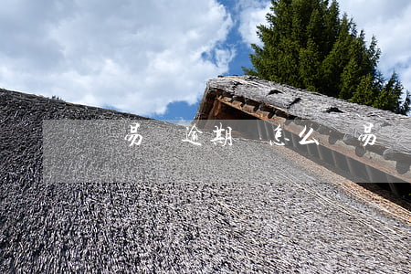 誠易貸逾期會怎么辦（易貸保逾期怎么辦）