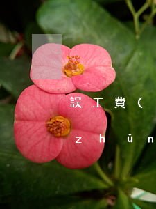 誤工費(fèi)賠償標(biāo)準(zhǔn)多少一天(誤工費(fèi)如何賠償,賠償標(biāo)準(zhǔn)是多少)
