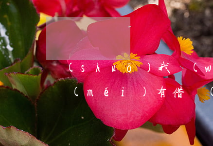 說(shuō)我網(wǎng)貸逾期我沒(méi)有借錢(qián)(網(wǎng)貸逾期沒(méi)錢(qián)還)