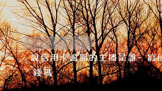 說信用卡逾期的主播是誰-搞信用卡逾期賺錢嗎