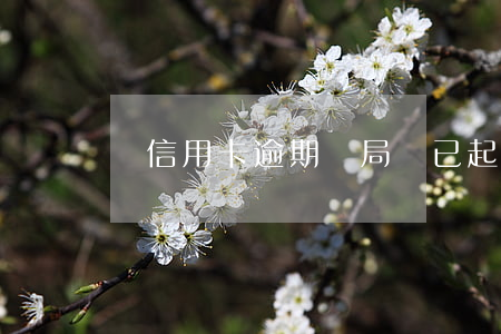 說信用卡逾期騙局說已起訴(說信用卡逾期詐騙)