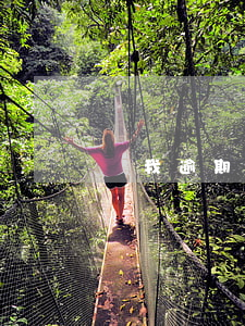 說我逾期將起訴(說我逾期將起訴)