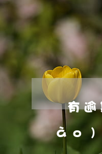 說有逾期申報(bào) 說有逾期申報(bào)怎么辦