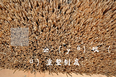 說說企業(yè)破產(chǎn)預(yù)重整制度