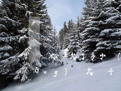 說說你們欠了多少網(wǎng)貸(網(wǎng)貸欠幾千)