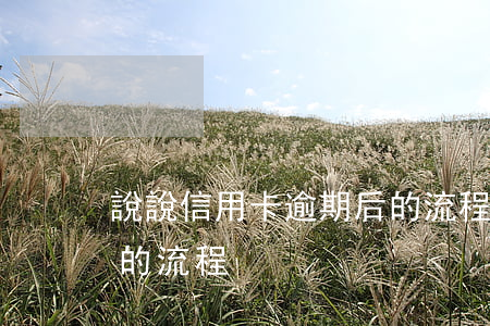 說說信用卡逾期后的流程(說說信用卡逾期后的流程)