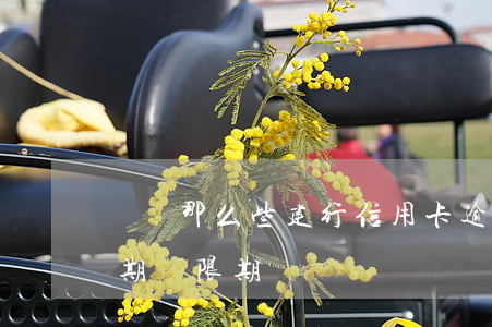 說說那么些建行信用卡逾期的(建行 信用卡 逾期寬限期)