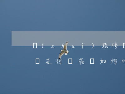 誰(shuí)能修復(fù)花唄逾期記錄 支付寶花唄如何修復(fù)逾期