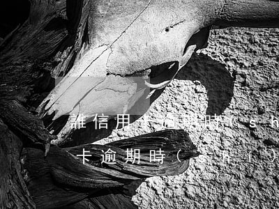 誰信用卡逾期時(shí)間最長-誰信用卡逾期時(shí)間最長